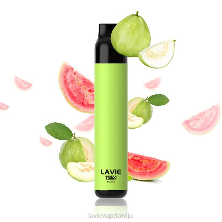 LAVIE BAR 5000 uzpūtienu - maks gvajava 42L4284 - Lavie Puff