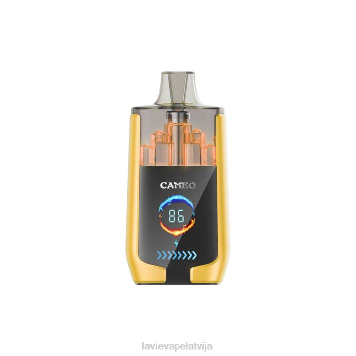 LAVIE CAMEO 30000 uzpūtienu mango ledus 42L421 - Lavie Vape Price